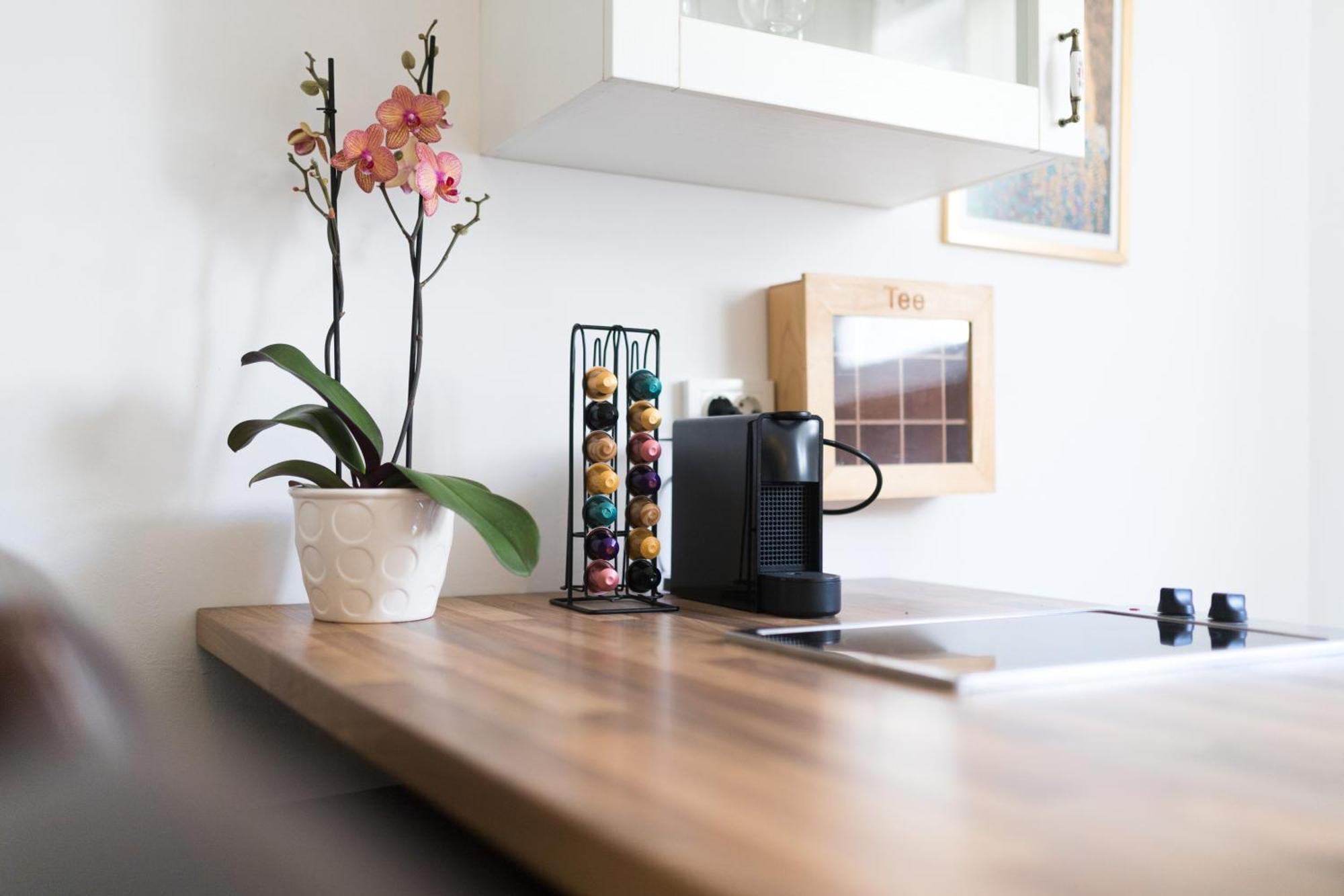 M&A Apartments Zadar Zewnętrze zdjęcie